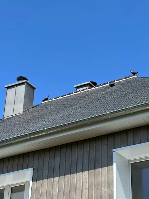 6b4d79ee-7d0c-433b-9a30-da4409e4d26e__